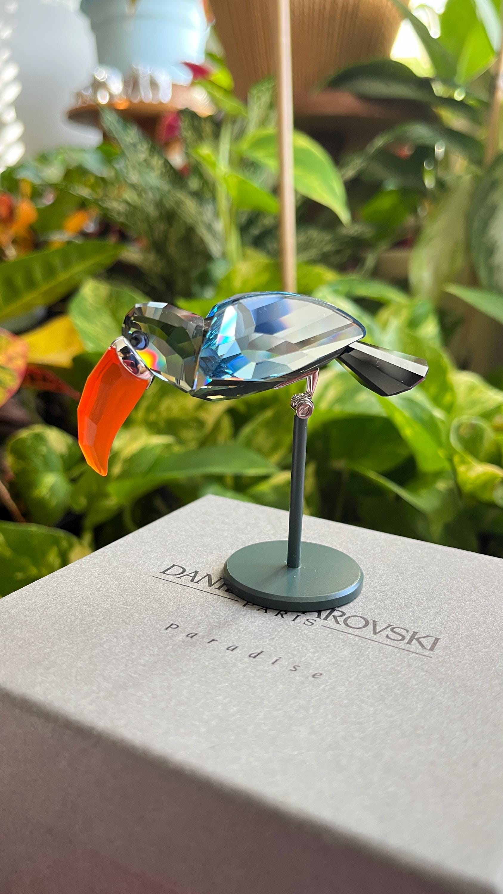 Swarovski Crystal Paradise Bird Bamba Black Toucan #269542 #284062