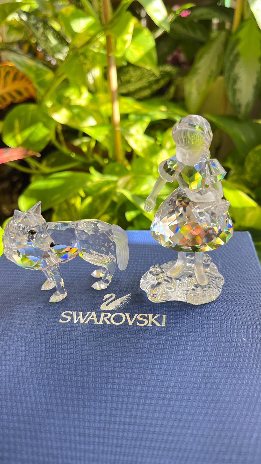 スワロフスキー (Swarovski) レッドライディングフード（赤ずきん