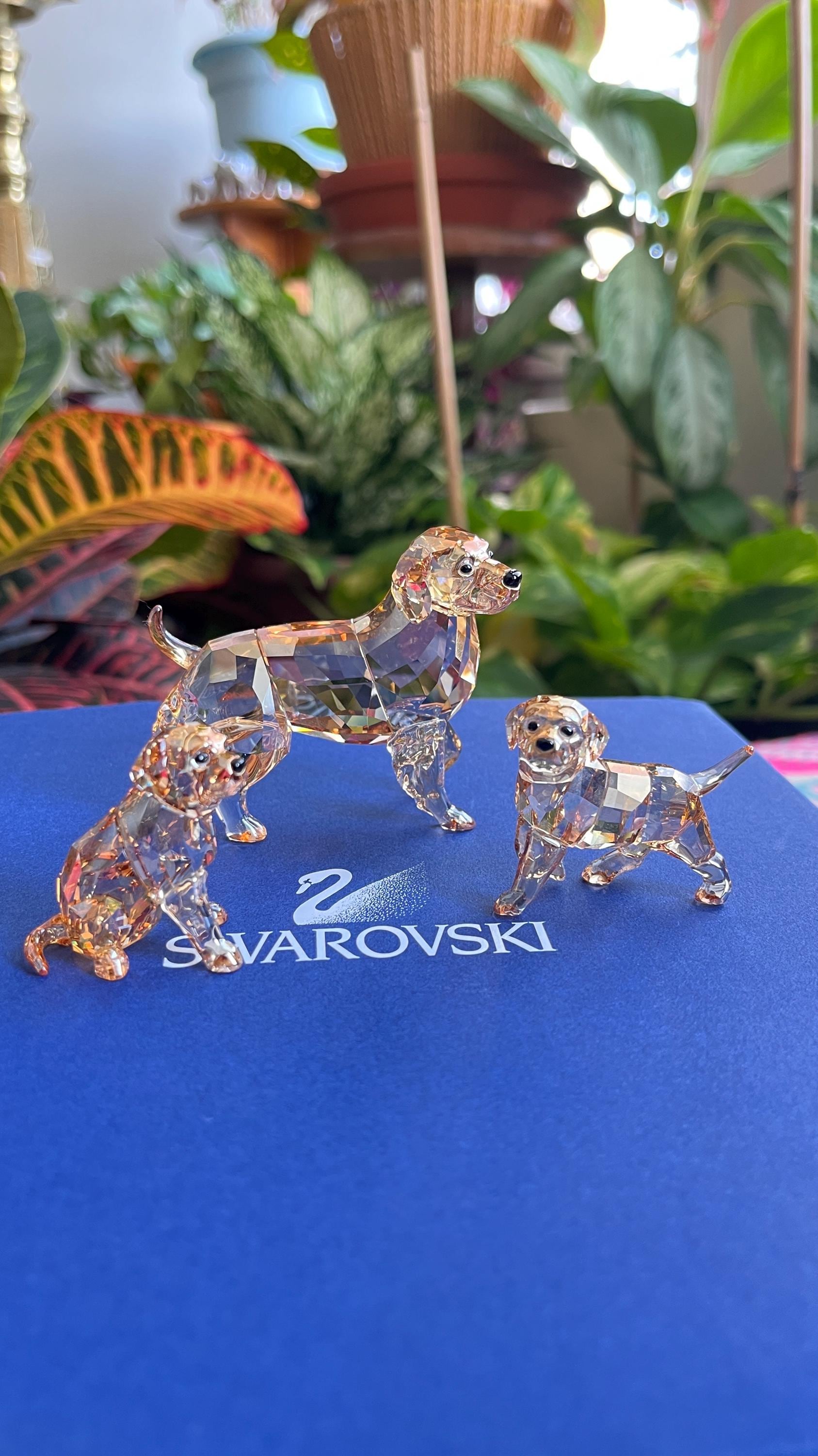 【新品未使用】ゴールデンレトリバー／DOG／SWAROVSKI Swarovski Figurine Golden Retriever Set Mother, Puppy Standing