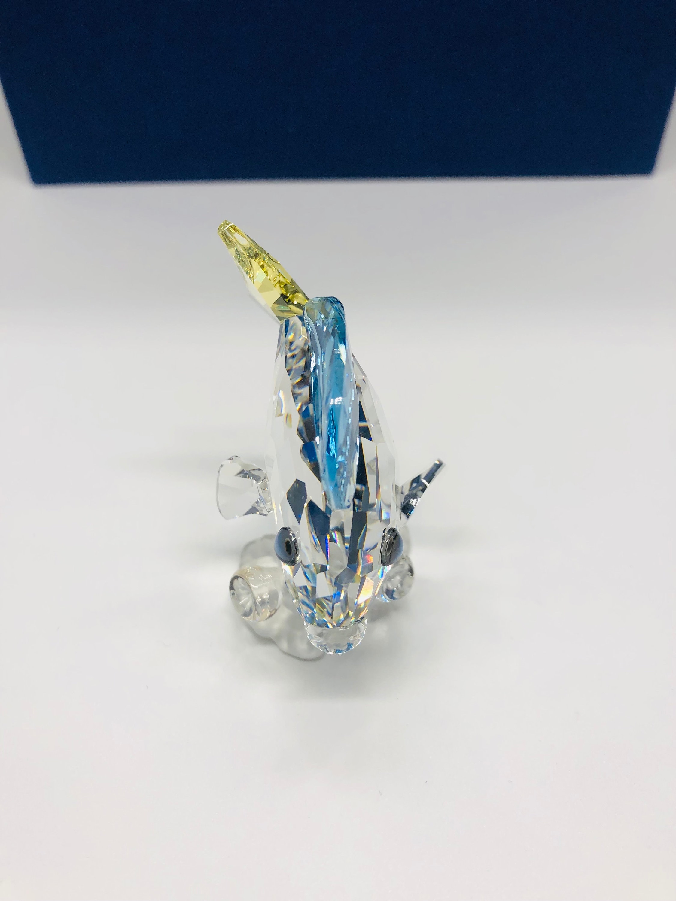 Swarovski Crystal Tang Fish: 2007 SCS Wonders of the Sea