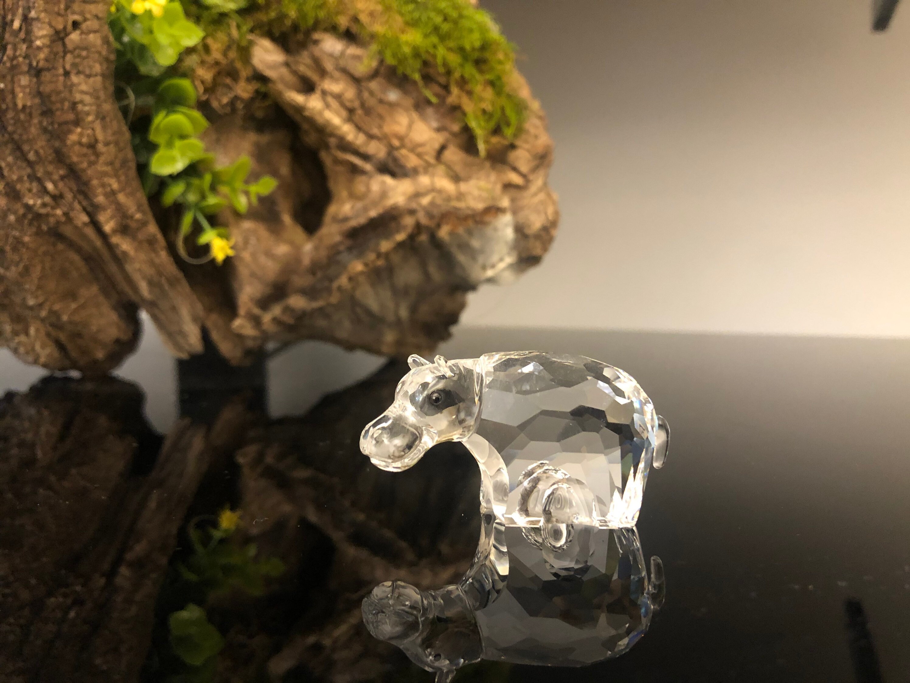 Swarovski Zodiac Hippo- A 7610 NR 000 006 - Etsy
