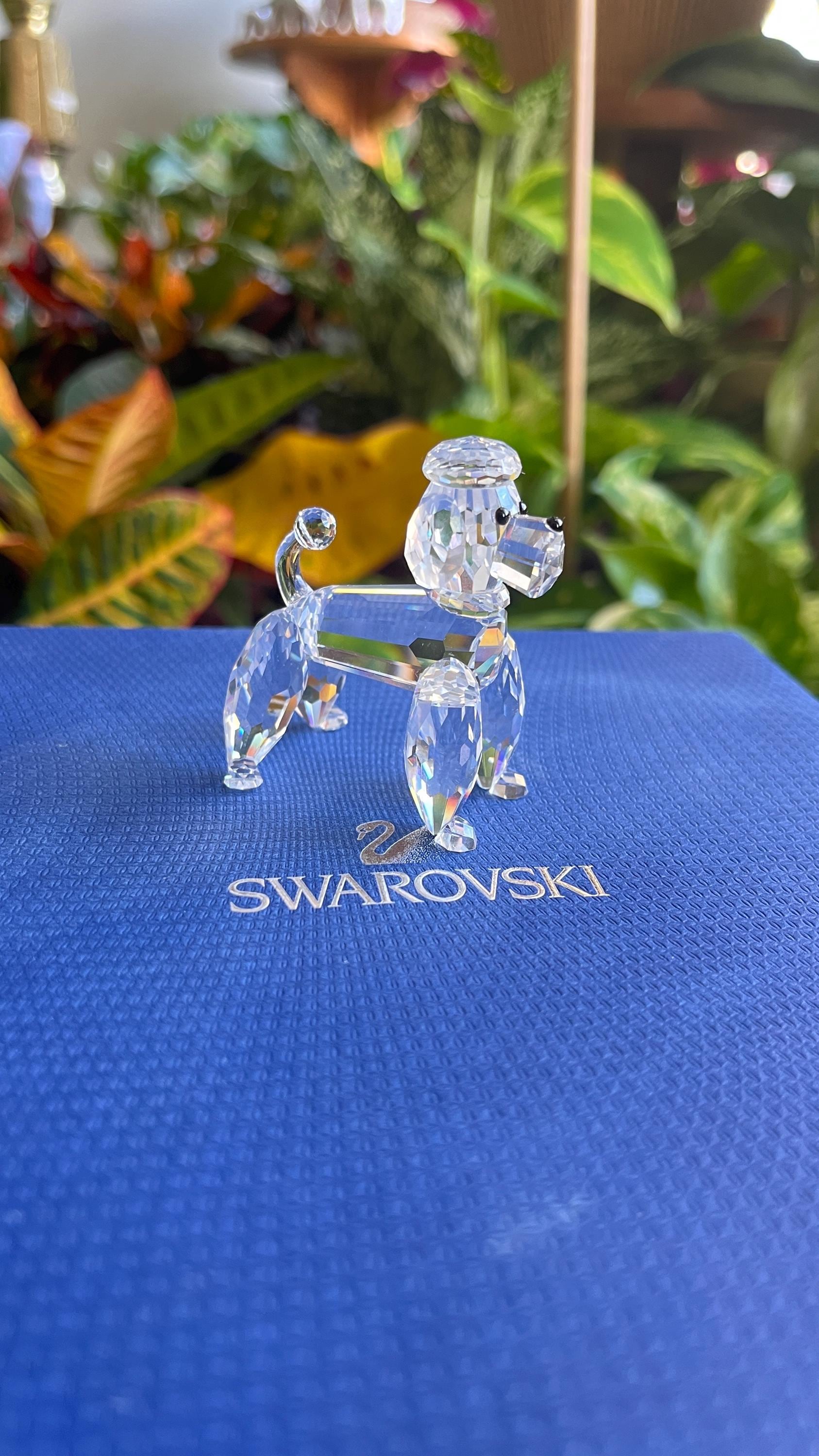 Swarovski Figurine Crystal 167571 Poodle Standing 2 3/16in