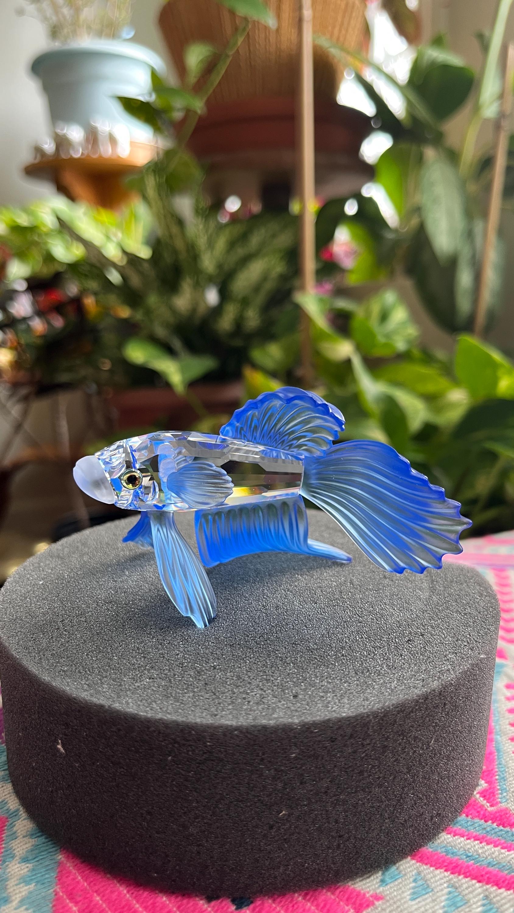 Swarovski Crystal Figurine Siamese Fighting Fish Blue 236718 Mint