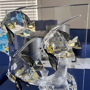 SWAROVSKI Crystal Wonders of the Sea Community Fish - Etsy