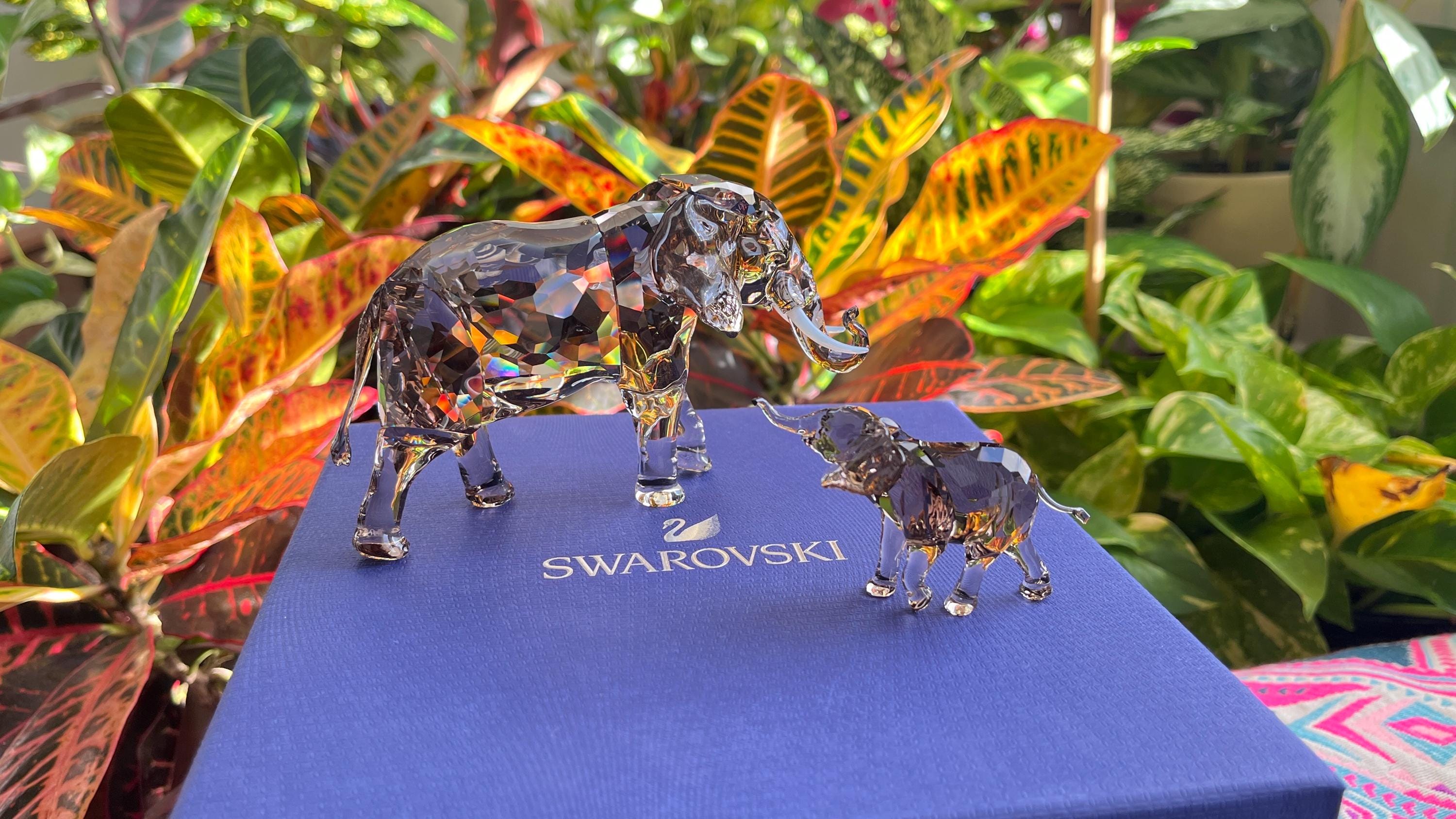Swarovski Elegance of Africa Scs Jubilee Edition 2022 Elephant