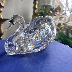 Swarovski graceful swan  brand new in box w/COA