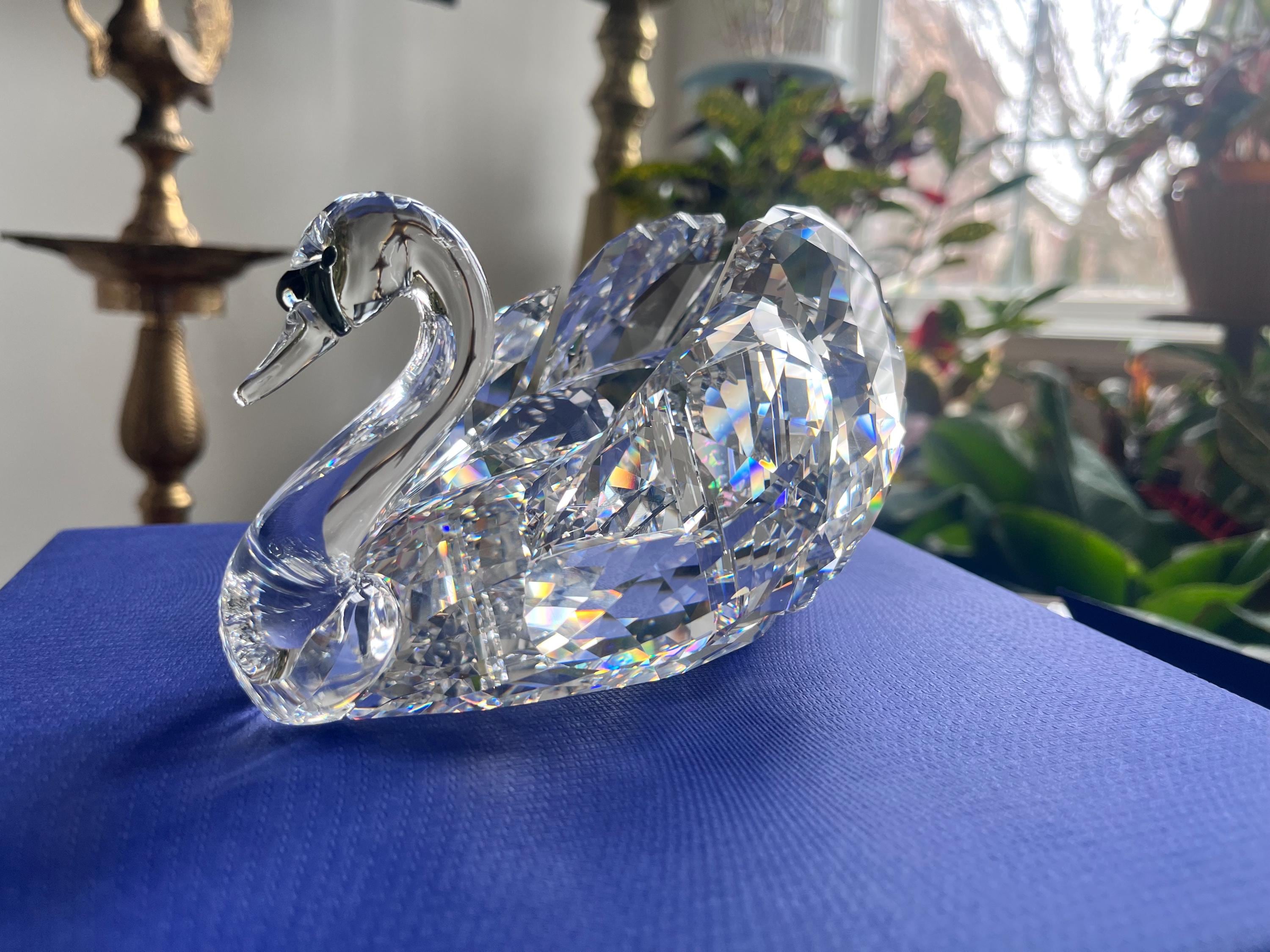 DIAMOND☆DOGS Cruising Show SWAN 81FTRYk-F7L._UF350,350_QL80_.jpg