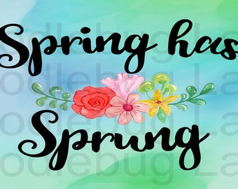Spring Has Sprung - Spring Wreath Sign - Metal Wreath Sign - Rectangle Sign - Doodlebug Lane Signs