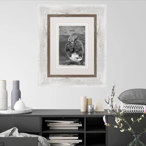 May include: A black and white photograph of a bird with its head tucked under its wing. The photo is framed in a white wood frame with a brown inner frame.