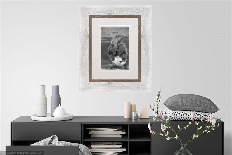 May include: A black and white photograph of a bird with its head tucked under its wing. The photo is framed in a white wood frame with a brown inner frame.