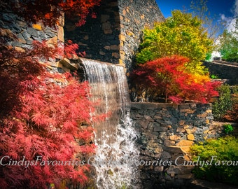 The Grotto