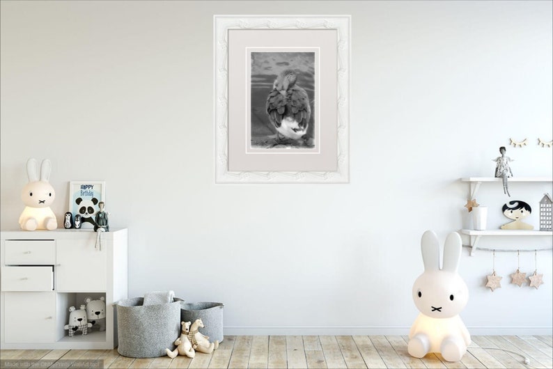 May include: A black and white framed photograph of a duck with its head tucked under its wing. The duck is standing in a shallow body of water.
