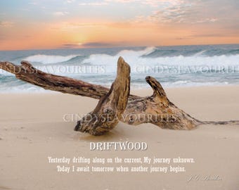 Driftwood