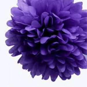 May include: A large, purple tissue paper pom pom, a decorative element for parties and events.