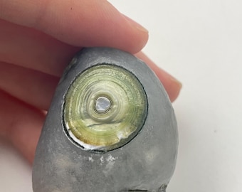 A Set Size: 4.3x3.1x3.0cm+ Natural Gobi Eyes Agate No Polished No Hole