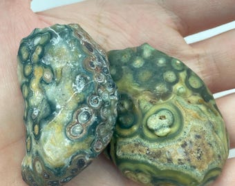 May include: Two polished orbicular jasper stones featuring a complex pattern of circular inclusions in shades of forest green, olive, mustard yellow, and dark brown. The stones have a smooth, glossy surface with distinct concentric ring formations.