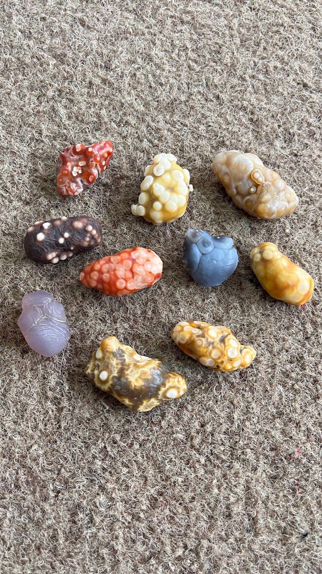 A Set Size:2.1-3.2cm+ Natural Gobi Fish Roe Agate No Polished No Hole ...