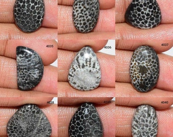 Dazzling Designer Black Fossil Coral Gemstone, Natural Fossil Coral cabochon,Black Fossil Coral, Fossil Coral Jewelry, Loose Fossil Coral,