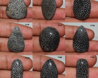Beautiful Designer Black Fossil Coral Gemstone, Natural Fossil Coral cabochon,Black Fossil Coral, Fossil Coral Jewelry, Loose Fossil Coral,