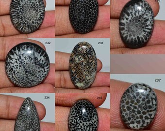 Marvelous Black Fossil Coral Gemstone, Natural Fossil Coral Cabochon, Black Fossil Coral, Fossil Coral Jewelry, Loose Fossil Coral, Cabochon