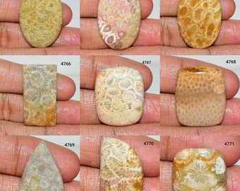 Gorgeous Fossil Coral cabochon, Natural Fossil Coral Gemstone, Yellow Fossil Coral, Fossil Coral Use Jewelry, Smooth Polish Fossil Coral,