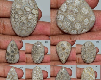 70% Off Fossil Coral cabochon, Natural Fossil Coral Gemstone, Fossil Coral, Fossil Coral Use Jewelry, Smooth Polish Fossil Coral, Gemstone,