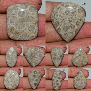 Smooth Polish Fossil Coral cabochon, Natural Fossil Coral Cabochon, Fossil Coral Gemstone, Fossil Coral Use Jewelry, Fossil Coral,