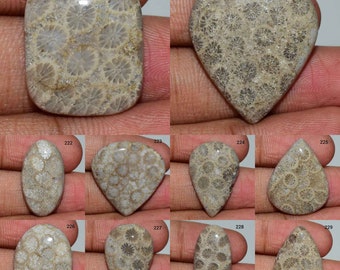 Smooth Polish Fossil Coral cabochon, Natural Fossil Coral Cabochon, Fossil Coral Gemstone, Fossil Coral Use Jewelry, Fossil Coral,