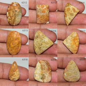 Fabulous Fossil Coral cabochon, Natural Fossil Coral Gemstone, Yellow Fossil Coral, Fossil Coral Use Jewelry, Smooth Polish Fossil Coral,
