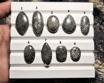 Marvelous Black Fossil Coral Gemstone, Natural Fossil Coral Cabochon, Black Fossil Coral, Fossil Coral Jewelry, Loose Fossil Coral,  LT 7698