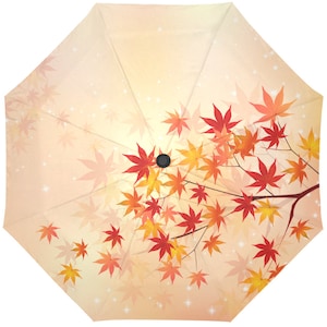 Rain Umbrella | Fall Autumn Umbrella | Japan UV Umbrella