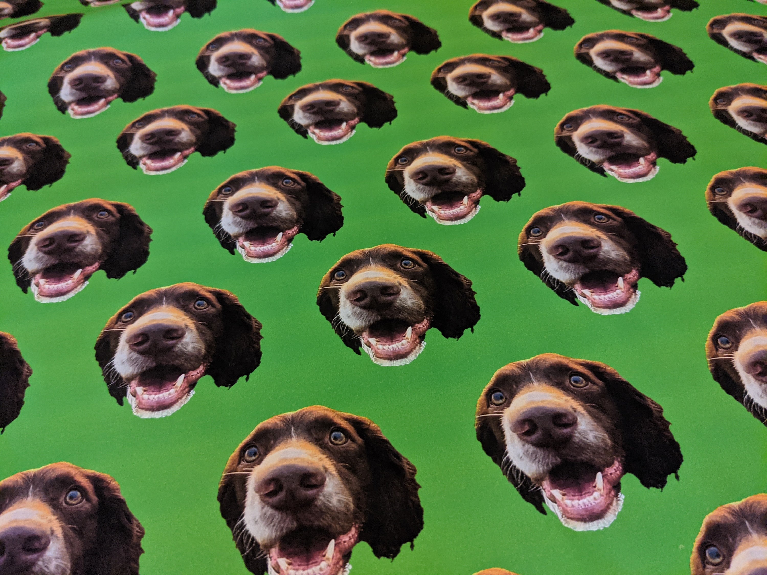 Personalised With ANY Face Wrapping Paper | Funny Custom Heads Photo Gift Wrap Roll/Sheet | Unique Birthday & Novelty Gag Joke Present Idea