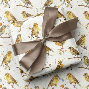 Papel de regalo de lujo con estampado de pájaro escribano amarillo: papel de regalo para observación de aves y observación de aves para cualquier ocasión: obsequios de lujo con temática de aves
