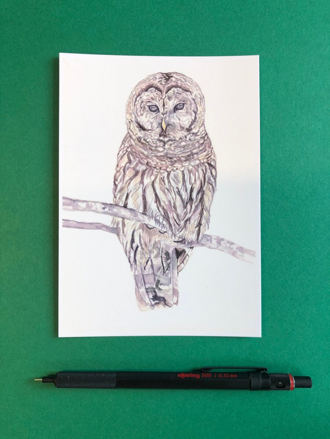 A6 Size Postcard of Owl in Japanese Coloured Sumi Ink Etsy