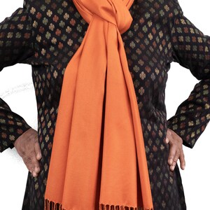 May include: A long, orange scarf with fringe on the ends. The scarf is tied around the neck in a knot.