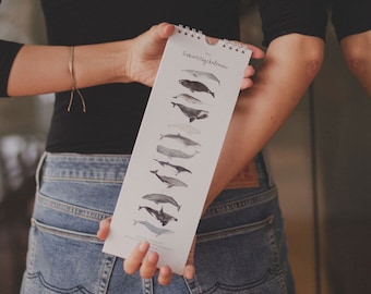Puede incluir: Una persona sosteniendo un calendario con fondo blanco e ilustraciones en blanco y negro de ballenas. El calendario se titula "Seaworthy Adventures".