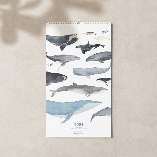 2024 calendar with whales A3 narrow for families or shared apartments made of beautiful recycled paper, 10 percent of the proceeds go to whale and dolphin protection