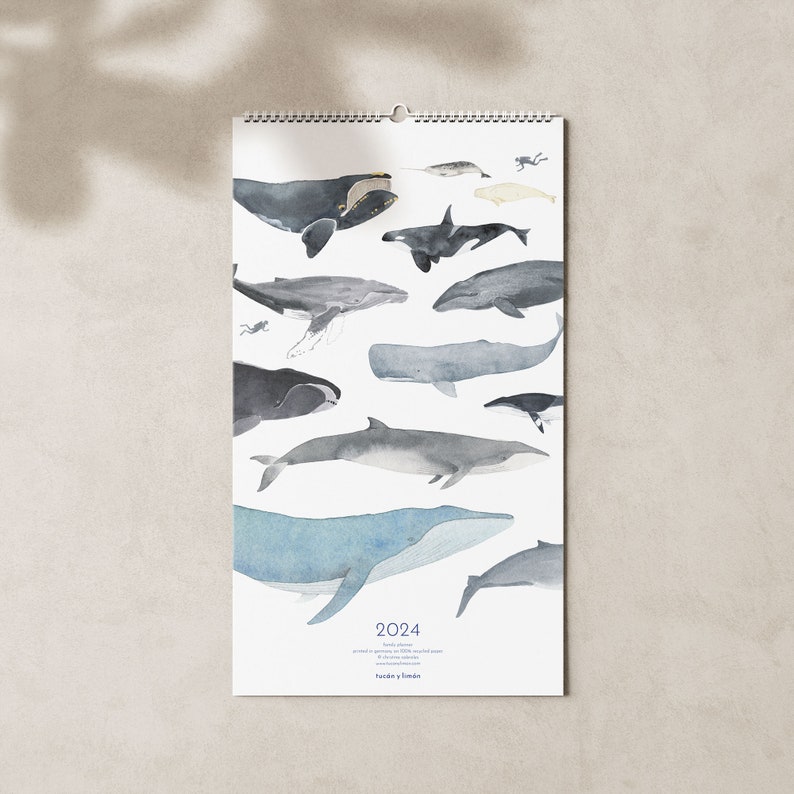 2024 calendar with whales A3 narrow for families or shared apartments made of beautiful recycled paper, 10 percent of the proceeds go to whale and dolphin protection image 1