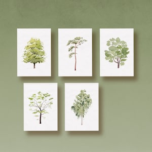 Card Set Trees Watercolor | 5 postcards