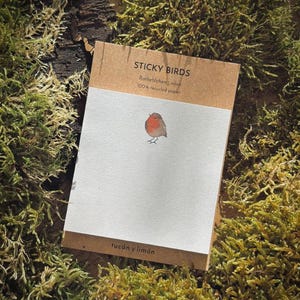 Sticky Bird Rotkehlchen Haftnotizen aus 100 % Recyclingpapier