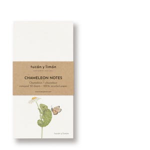 Könnte beinhalten: Ein weißer Notizblock mit einem braunen Band mit der Aufschrift "CHAMELEON NOTES". Der Notizblock hat eine Aquarellillustration eines grünen Chamäleons und eines Schmetterlings. Der Notizblock enthält 50 Blatt aus 100 % Recyclingpapier.