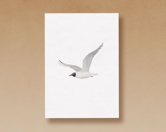 Black-headed gull in summer dress postcard printed on high-quality recycled paper