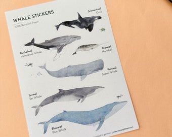 Whale sticker PVC-free sticker sheet made from recycled paper