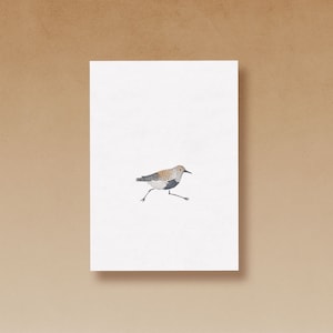 Carte postale Sandpiper imprimée sur du papier recyclé de haute qualité
