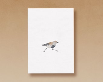 Sandpiper postcard printed on high quality recycled paper