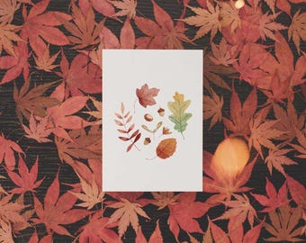 May include: A watercolor illustration of autumn leaves and acorns. The leaves are in shades of red, orange, yellow, and green. The acorns are brown.