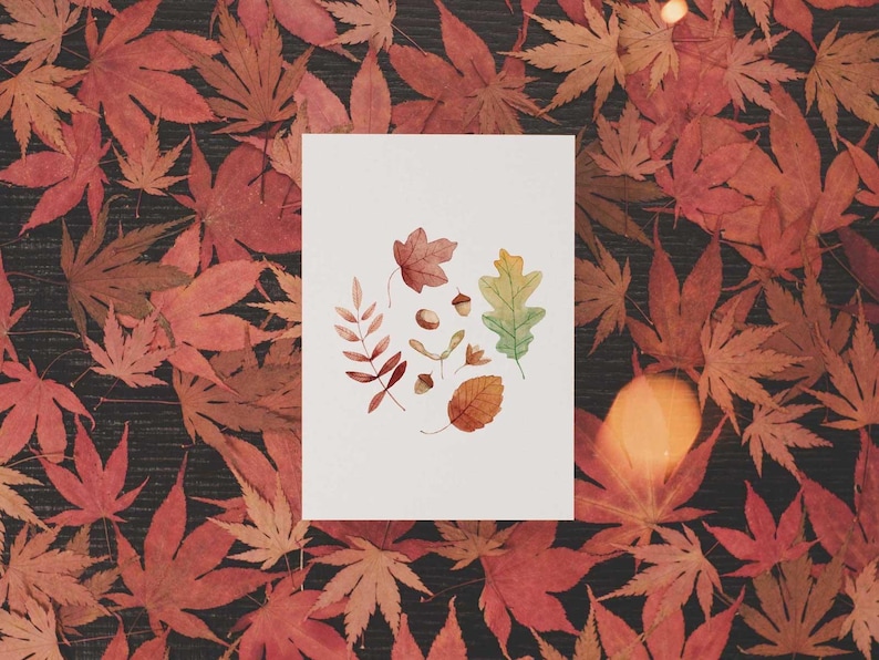 Puede incluir: Una ilustraci&oacute;n de acuarela de hojas de oto&ntilde;o y bellotas. Las hojas son de tonos rojos, naranjas, amarillos y verdes. Las bellotas son marrones.