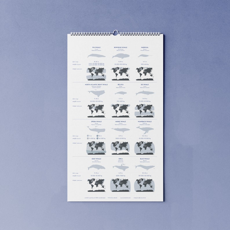 2024 calendar with whales B-WARE A3 narrow for families or shared apartments made of beautiful recycled paper, 10 percent of the proceeds go to the whale and image 6