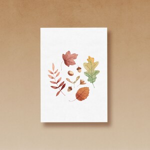 Puede incluir: Una ilustraci&oacute;n de acuarela de hojas de oto&ntilde;o y bellotas. Las hojas son de tonos rojos, naranjas, amarillos y verdes. Las bellotas son marrones.