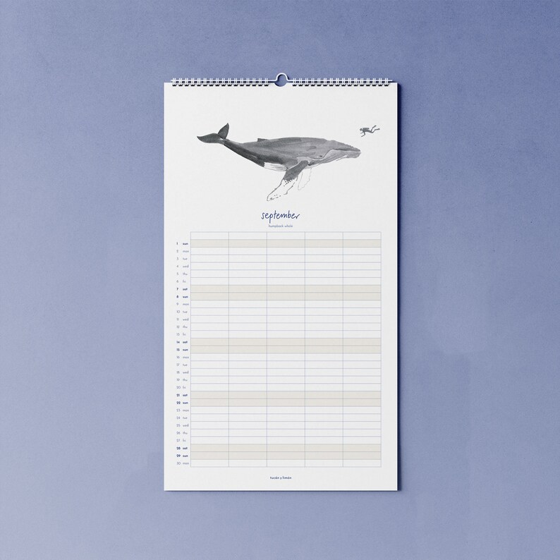 2024 calendar with whales B-WARE A3 narrow for families or shared apartments made of beautiful recycled paper, 10 percent of the proceeds go to the whale and image 3